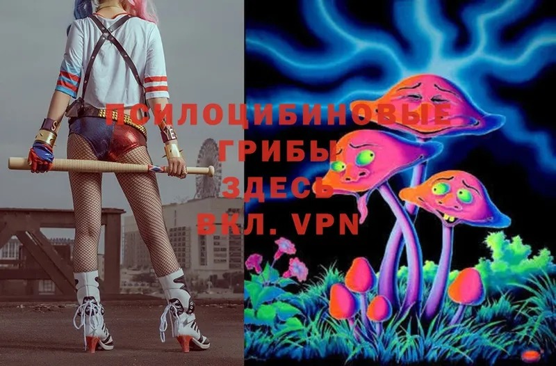 Псилоцибиновые грибы MAGIC MUSHROOMS  Амурск 